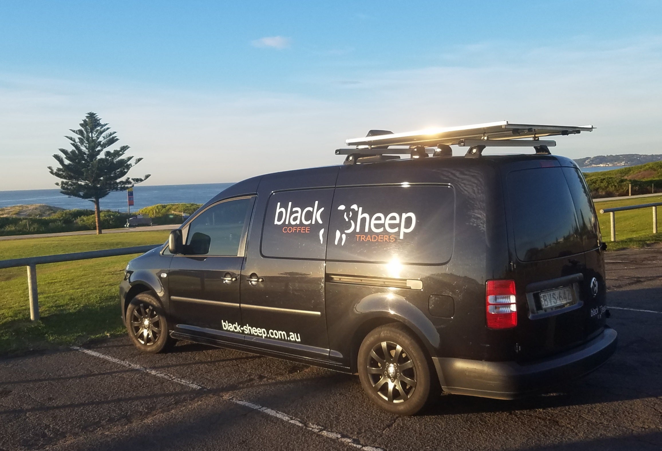 Home | blackSheep Coffee Traders